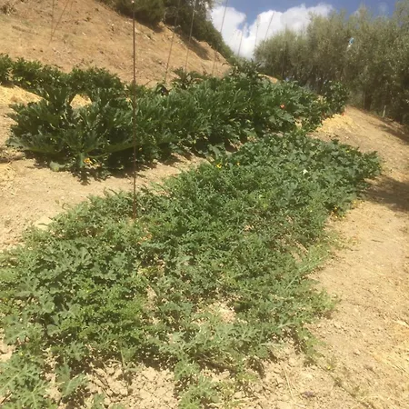 Apartament Cerquatonda Montalto delle Marche