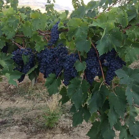 아파트 Cerquatonda Montalto delle Marche