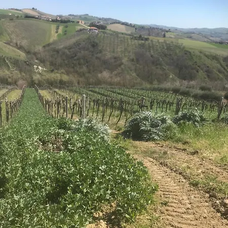 Apartament Cerquatonda Montalto delle Marche