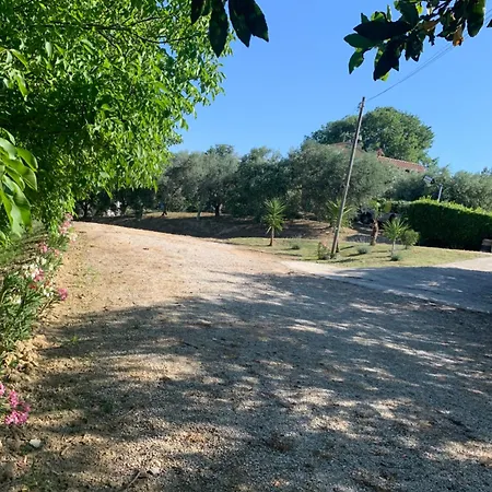 Apartament Cerquatonda