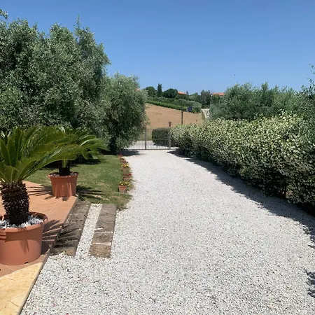 Cerquatonda * Montalto delle Marche