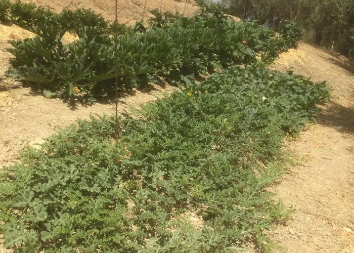 Apartment Cerquatonda Montalto delle Marche