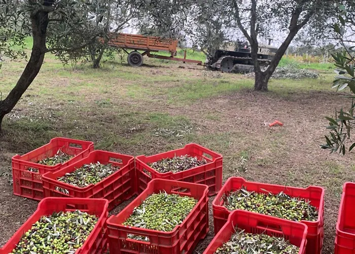 Apartment Cerquatonda *