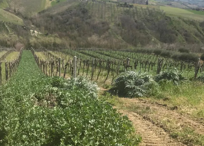 Apartment Cerquatonda Montalto delle Marche