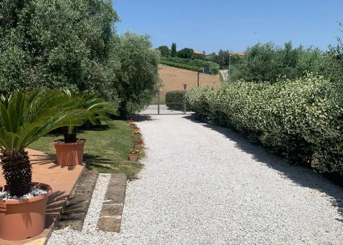 Cerquatonda * Montalto delle Marche